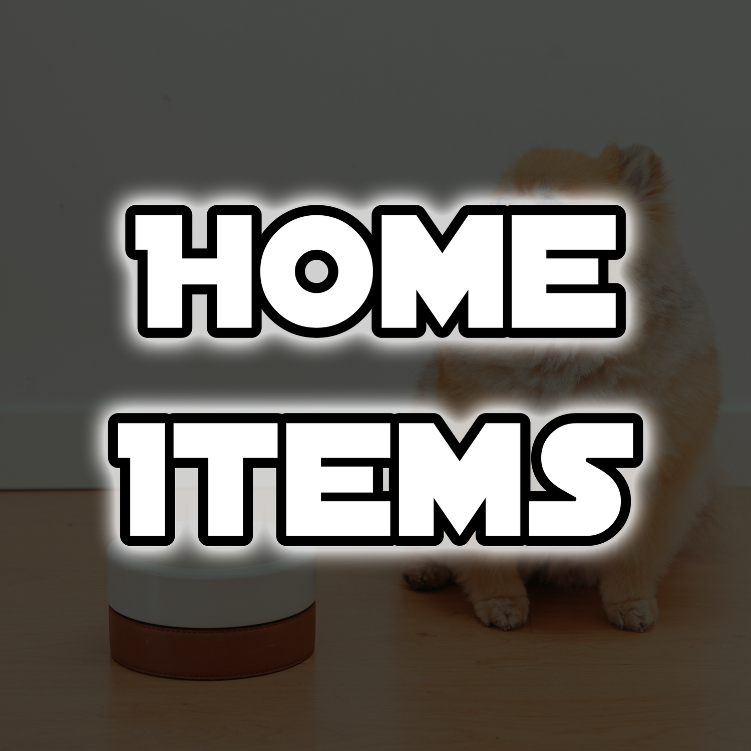 Dog Home Items