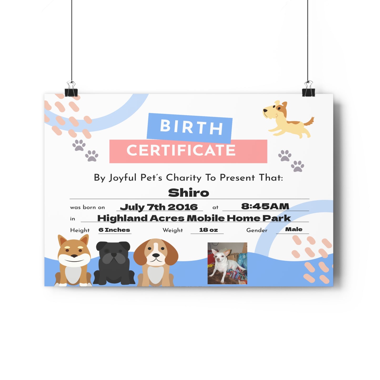 🐾 Custom Pet Birth Certificate Art Print – Personalized Keepsake for Your Furry Friend’s Special Day! 🎉