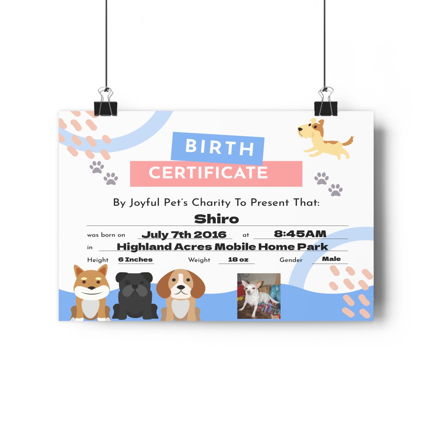 🐾 Custom Pet Birth Certificate Art Print – Personalized Keepsake for Your Furry Friend’s Special Day! 🎉