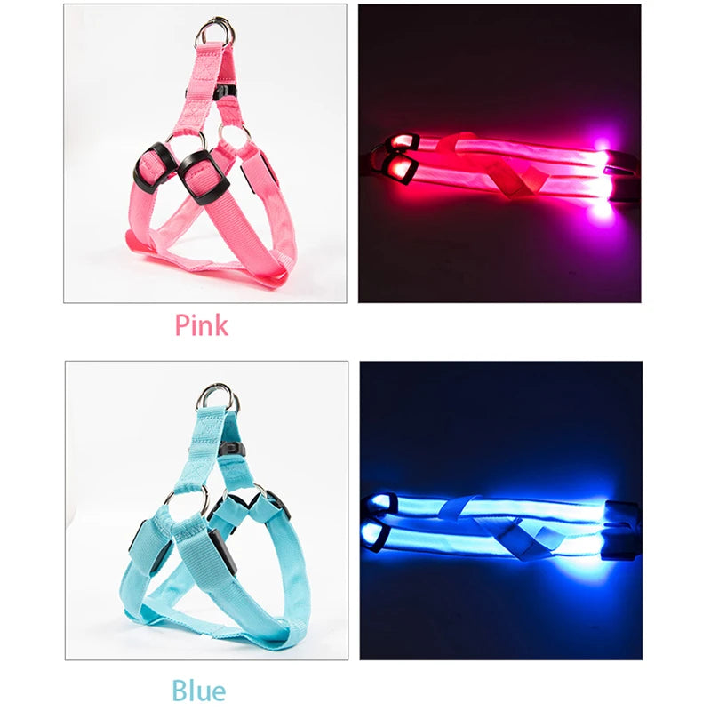 Adjustable LED Dog Harness: Night Safety and Glow