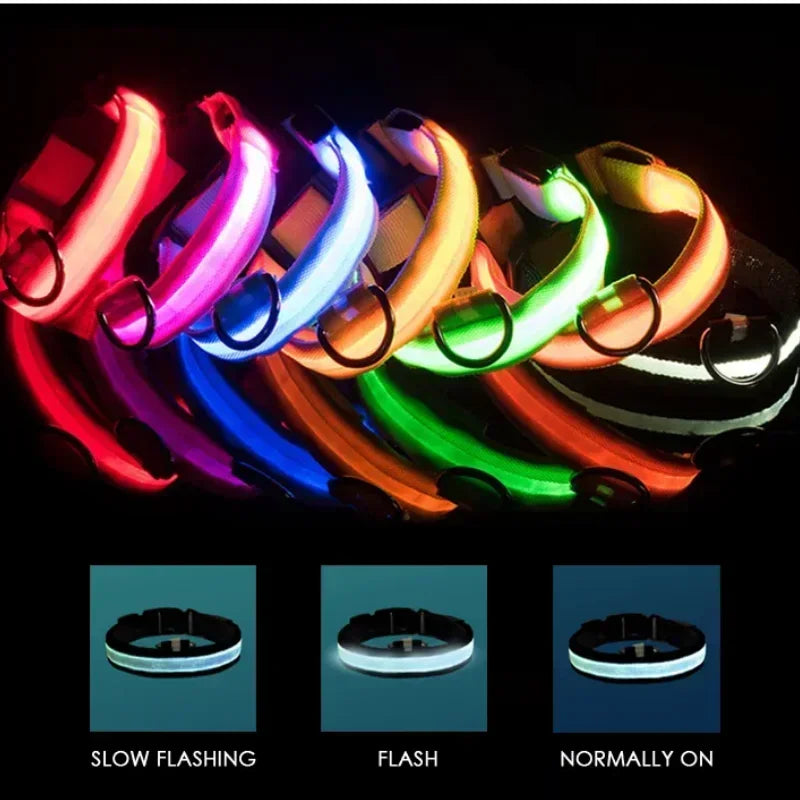 Ultimate USB Charging LED Dog Collar – Safety & Style for Night Walks