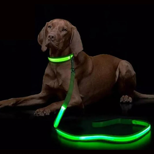 🌟 Nighttime Safety Essential: LED Light-Up Dog Leash for Active Pup Parents 🐾