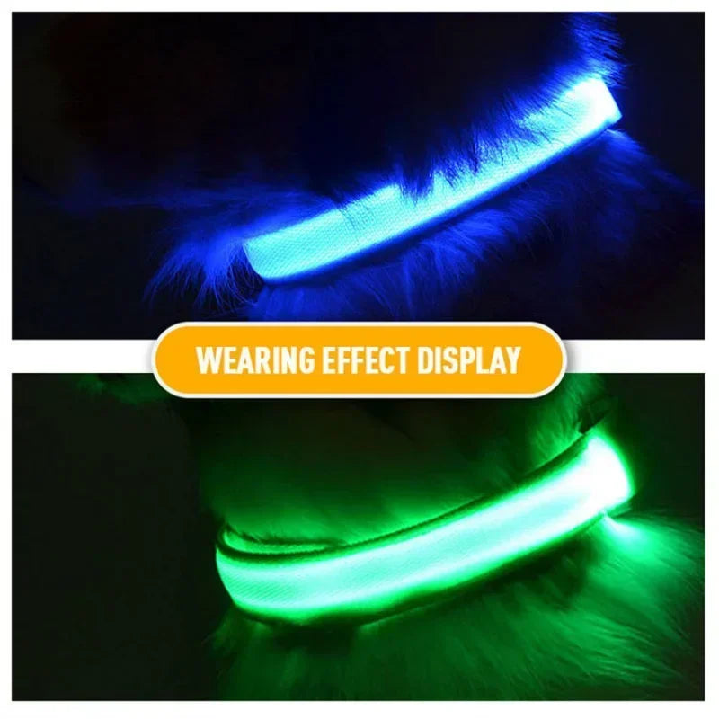 Ultimate USB Charging LED Dog Collar – Safety & Style for Night Walks