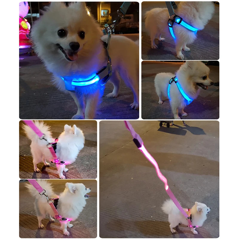 Adjustable LED Dog Harness: Night Safety and Glow