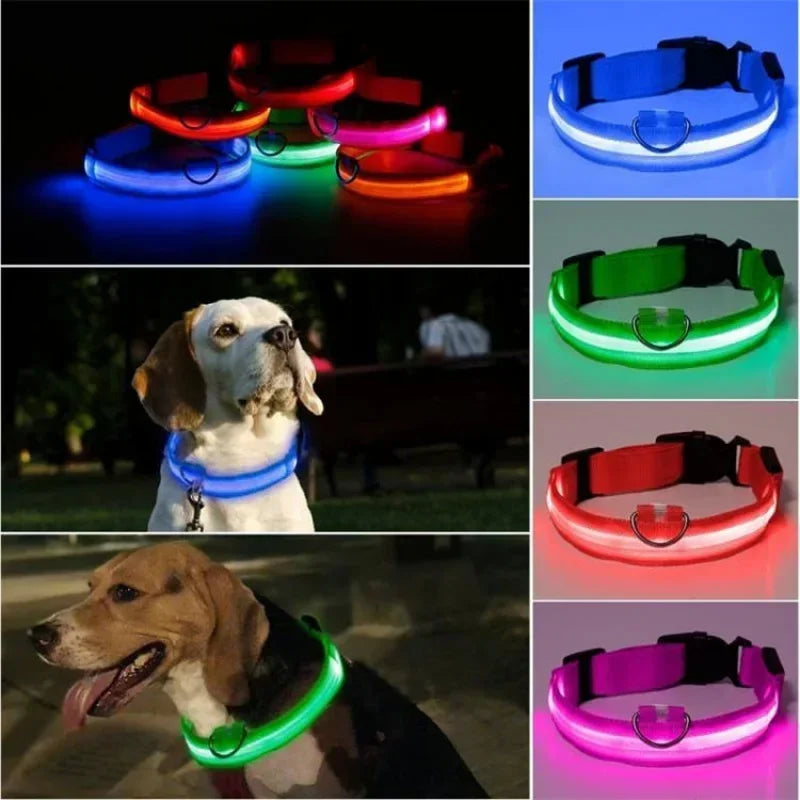 Ultimate USB Charging LED Dog Collar – Safety & Style for Night Walks