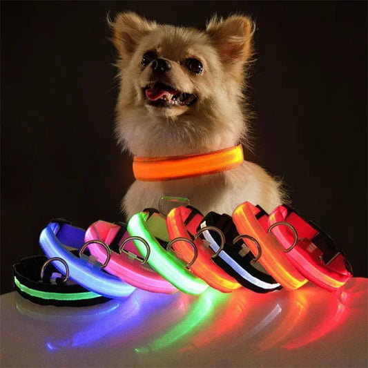 Ultimate USB Charging LED Dog Collar – Safety & Style for Night Walks